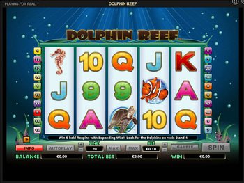 Dolphin Reef