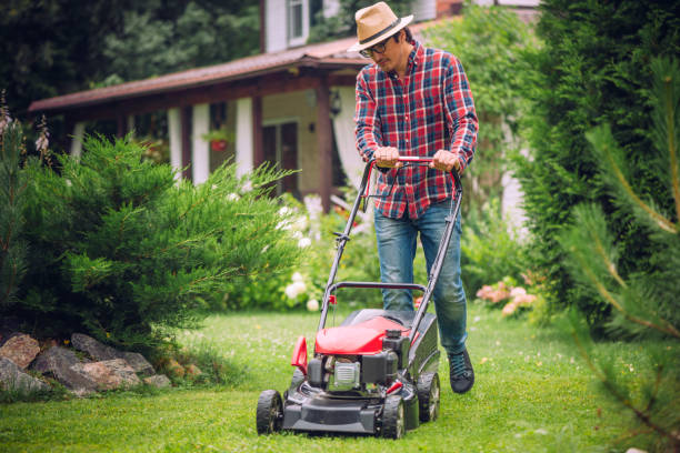Lawn Masport mowers Brisbane servicing may be efficiently carried out by the typical individual who likes doing things around the house.