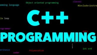 C++ assignment homework help
