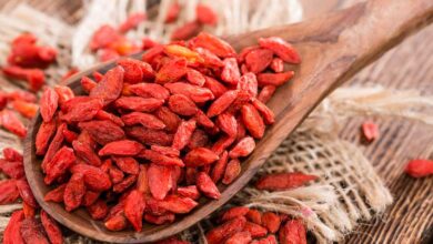 What the Goji Berry Can Do For Your Health