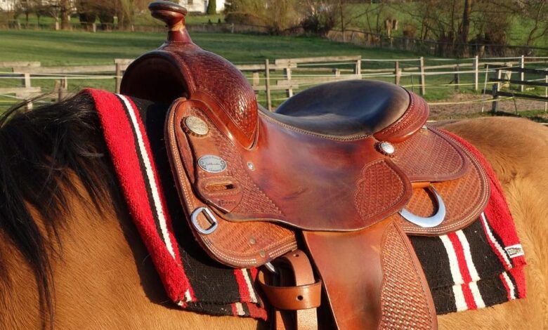 western-saddles-for-sale-ontario
