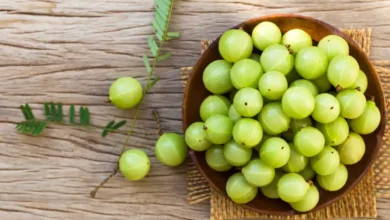 Astounding clinical Advantages related to Amla