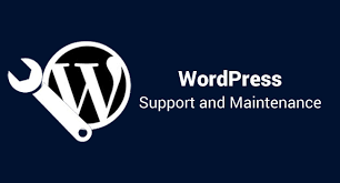 Best 24/7 WordPress Support Chat Services